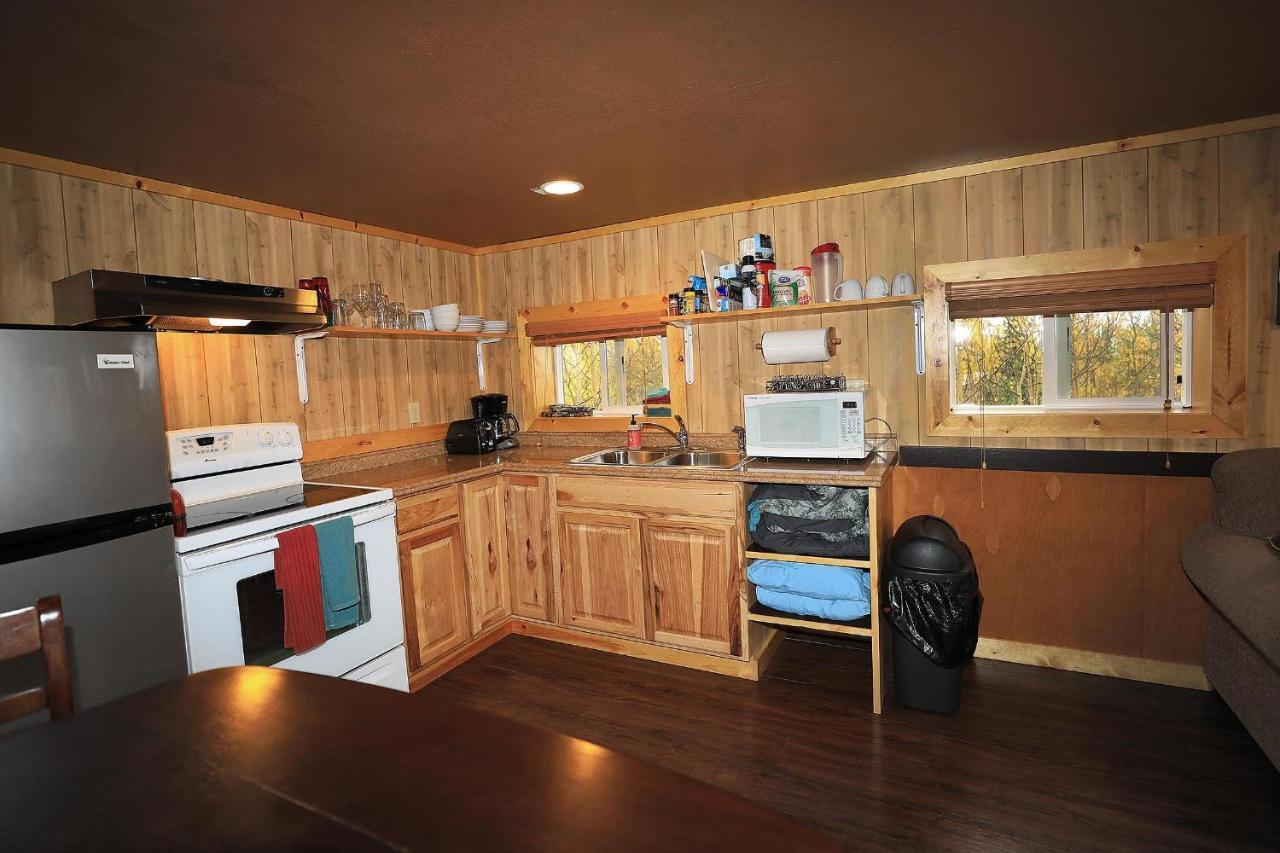 Denali Park View Family Log Cabin Exterior foto